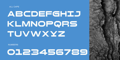 Rostun Font Poster 2