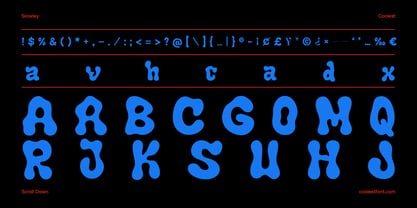 Slowley Font Poster 12