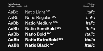 Natio Font Poster 2