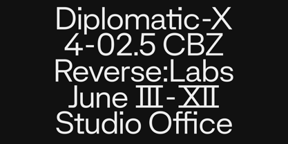 Natio Font Poster 13
