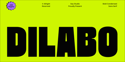 Dilabo Font Poster 1