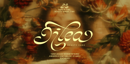 Dh Joleta Font Poster 9