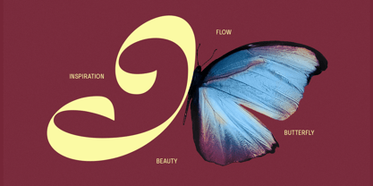 Dh Joleta Font Poster 2