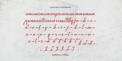 Tanya Kata Font Poster 12