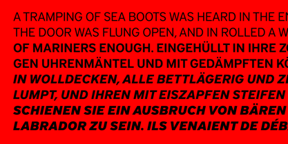 District Font Poster 6
