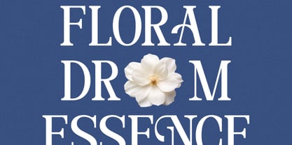 Delmora Font Poster 3