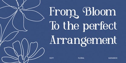 Delmora Font Poster 5