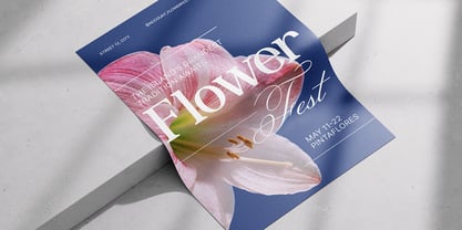 Delmora Font Poster 7