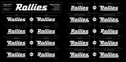 Magnie Font Poster 2