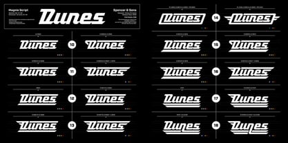 Magnie Font Poster 3