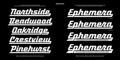 Magnie Font Poster 5