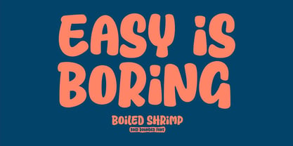 Boiled Shrimp Font Poster 5
