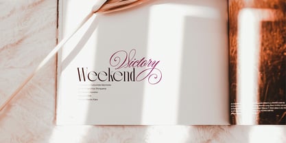 Berniche Font Poster 13