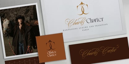 Berniche Font Poster 6