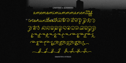 Julethia Font Poster 12