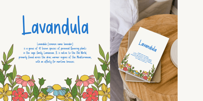Cozy Handline Font Poster 8
