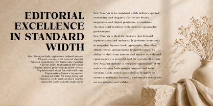 New Novaryn Font Poster 5