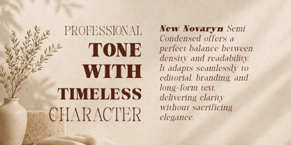 New Novaryn Font Poster 4