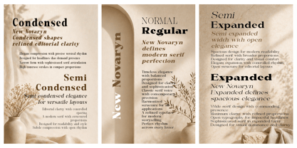 New Novaryn Font Poster 2