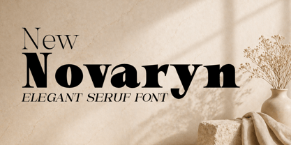 New Novaryn Font Poster 1