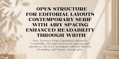 New Novaryn Font Poster 6