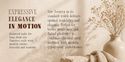 New Novaryn Font Poster 3