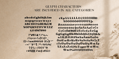 New Novaryn Font Poster 7