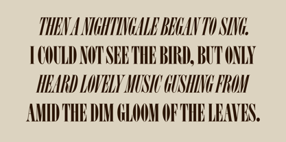 Homage Condensed Font Poster 5