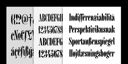 Homage Condensed Font Poster 4