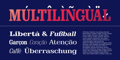 Clastin Font Poster 14