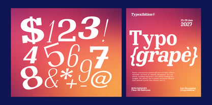Clastin Font Poster 11