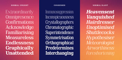Clastin Font Poster 12