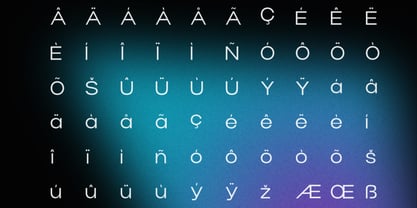 Werk Neue Font Poster 8