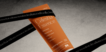 Selario Font Poster 2