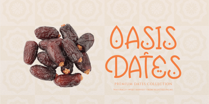 Raqasy Font Poster 6