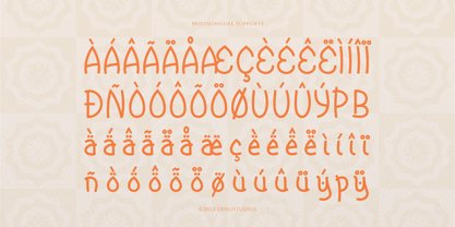 Raqasy Font Poster 11