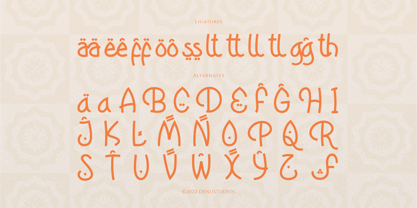 Raqasy Font Poster 12
