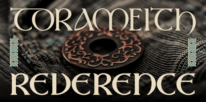 Sealgair Font Poster 11