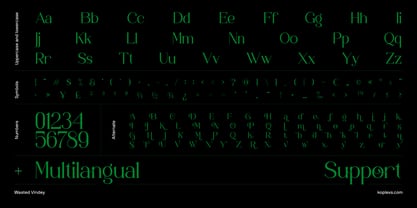 Wasted Vindey Font Poster 11