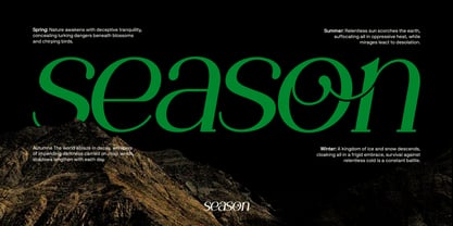 Wasted Vindey Font Poster 4