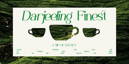 Wasted Vindey Font Poster 7