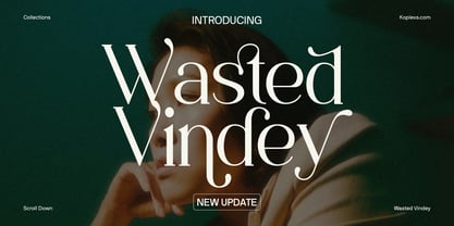 Wasted Vindey Font Poster 1