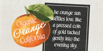 Authentic Classy Script Font Poster 6