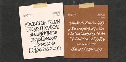 Authentic Classy Script Font Poster 9