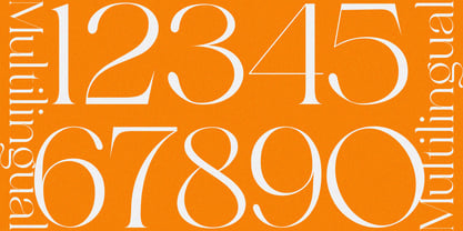 Meckora Font Poster 10