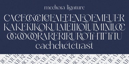 Meckora Font Poster 5
