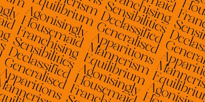 Meckora Font Poster 9