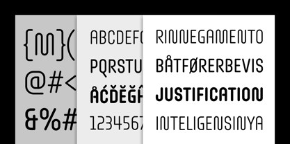 Omnium Tagline Font Poster 4