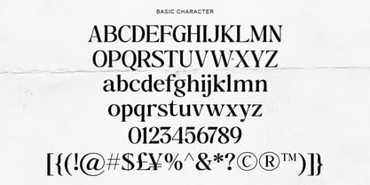 The Milanos Editorial Font Poster 12