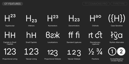 TT Commons™ Pro Font Poster 12